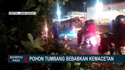 Dampak Hujan dan Angin Kencang di Wilayah Depok, Sejumlah Pohon Tumbang!