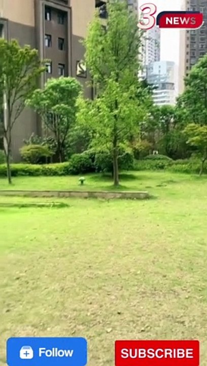 flying squirrel And Lip King viral video