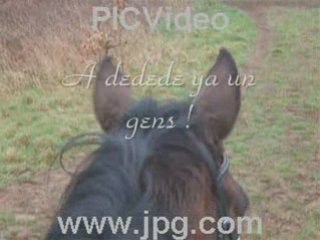 Journee avec les filles et les chevaux!