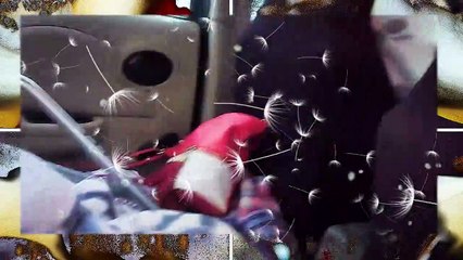 Taking out trash l going to restaurant l Powerdirector 20.compressed