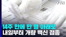 코로나19 확진자 8,981명...14주 만에 만 명 아래로 / YTN
