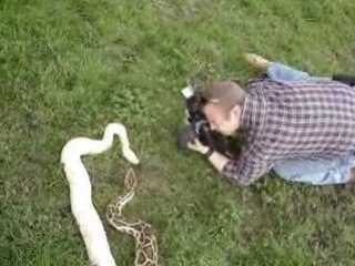 Dc-Pics Vs Pythons - Final Showdown 📸🐍