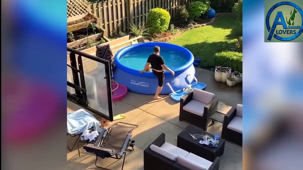 Funny animals video