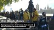 Assange supporters form human chain around UK parliament to protest extradition