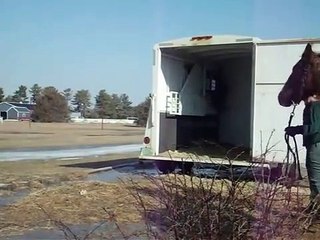 Flicka Bande-annonce (IT)