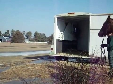 Flicka Bande-annonce (IT)