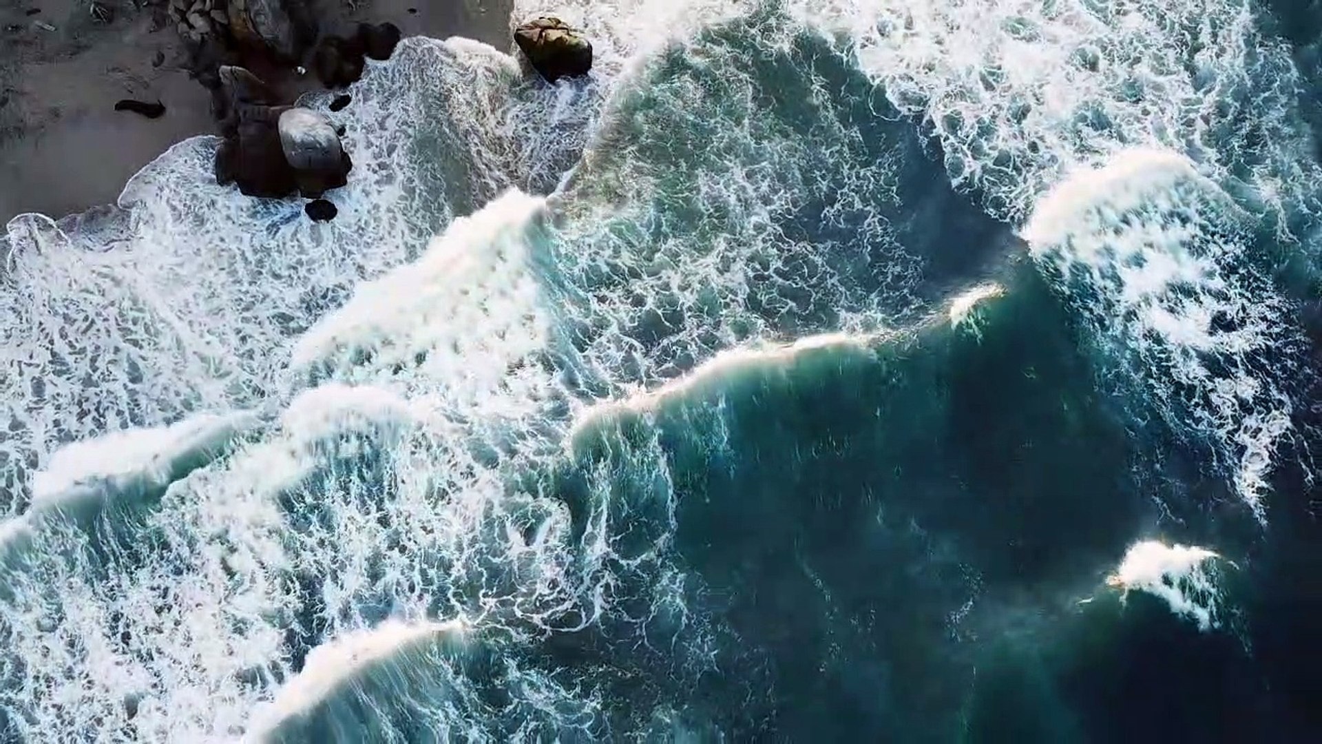 ⁣Sea Waves with bird loop | Relaxing white noise ocean | Ocean Wave sounds