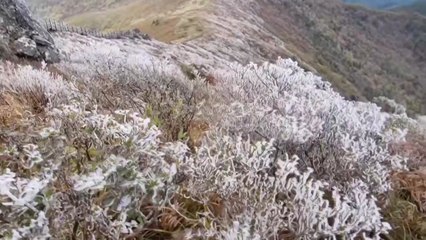 전북 무주 덕유산에 올가을 첫 '상고대' 맺혀 / YTN