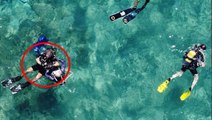 Keşif dalışı yapan dalgıçlar Akdeniz sularında ilk defa gördü: Kendi türünü yok ediyor