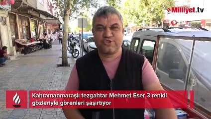Sol gözü mavi ve kahverengi, sağ gözü yeşil