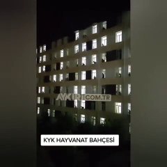 KYK yurdunda hayvan sesleri çıkaran öğrenciler