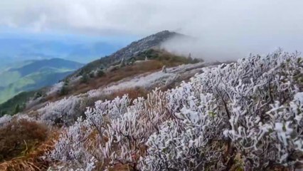무주 덕유산에 올가을 첫 상고대 맺혀 / YTN