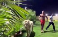 Manuel Charr calls out Tyson Fury... using a lion