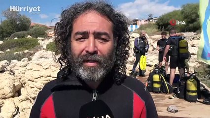 Zehirli dikenli çizgili kedi balığı Mersin'de ilk defa görüntüledi