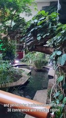 السياحة في مدينة هامبورغ الألمانية