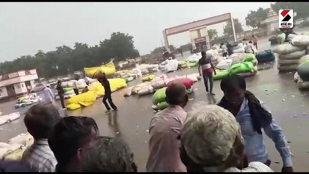 રાજકોટના જસદણમાં વાતાવરણમાં પલટો: વરસાદને પગલે ખેતીને નુકશાન