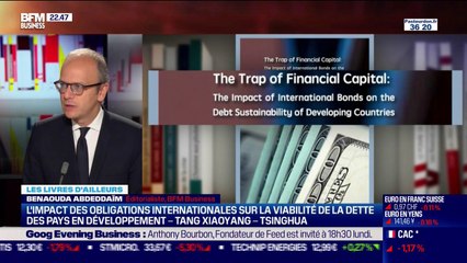 Les livres d'ailleurs: l'impact des obligations internationales sur la viabilité de la dette des pays en développement