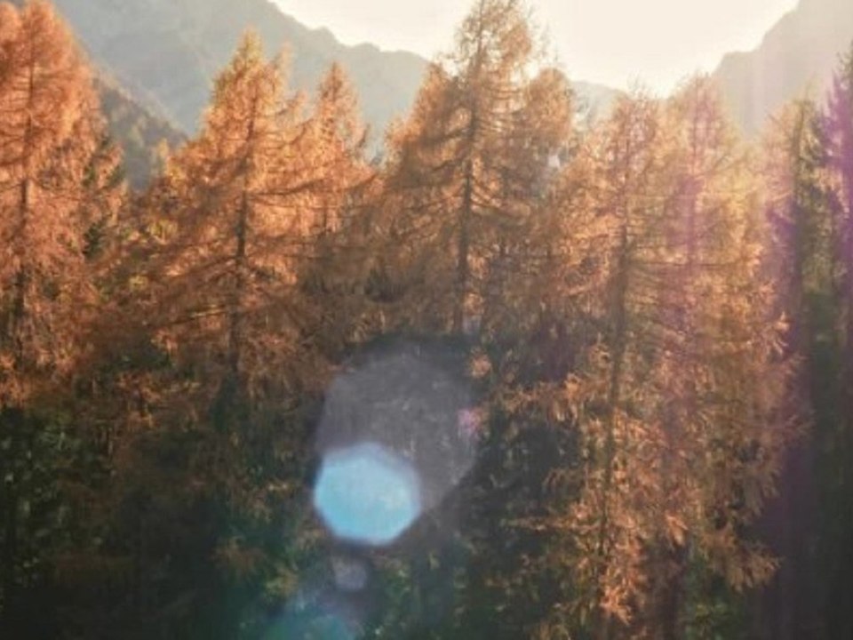 Herbstreise: Die schönsten Ziele in Bayern