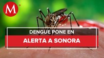 En Sonora, acusan alza de casos y muertes por dengue; hospitales están saturados