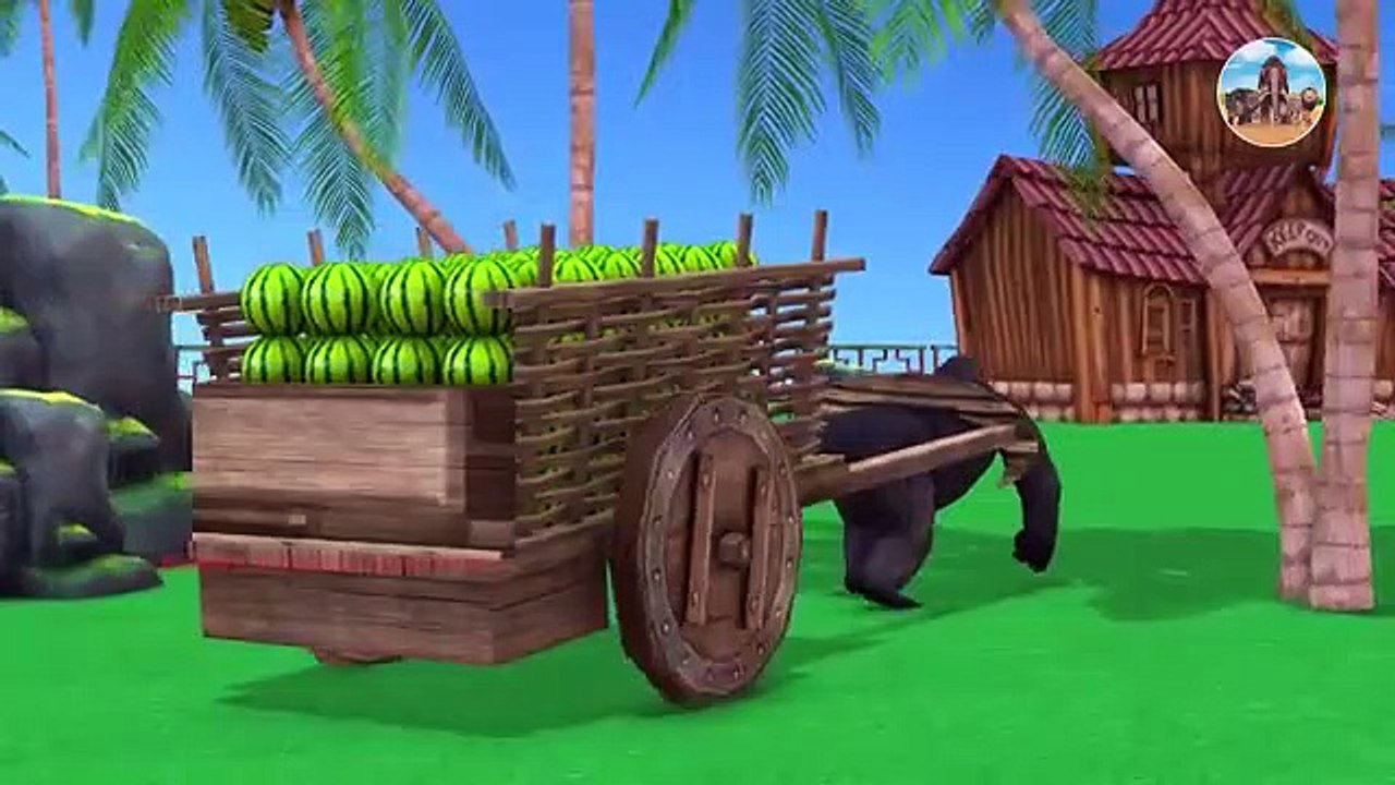 HippoStealsWatermelonFunnyMonkey22 মজার বানর ও গরিলা video