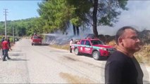 Antalya haberleri | Kumluca'da çıkan orman yangını kontrol altına alınmaya çalışılıyor