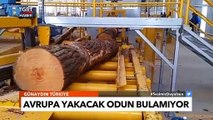 Avrupa'da Enerji Krizi Tırmanıyor! Yakacak Odun Bulunamıyor - Cem Küçük ile Günaydın Türkiye