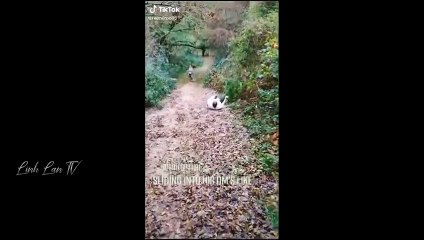 Compilation Des Moments Les Plus Drôles de l'année