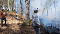 Antalya'da orman yangını kontrol altına alındı