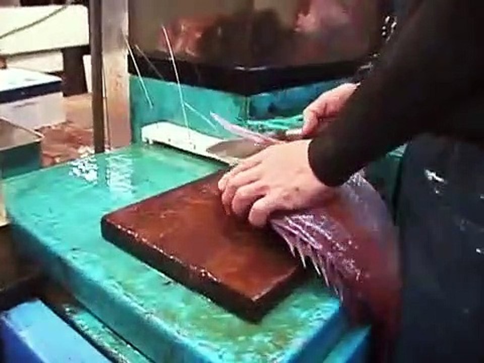 Anthony Bourdain's a Cook's Tour - Se1 - Ep01 - A Taste of Tokyo HD Watch HD Deutsch