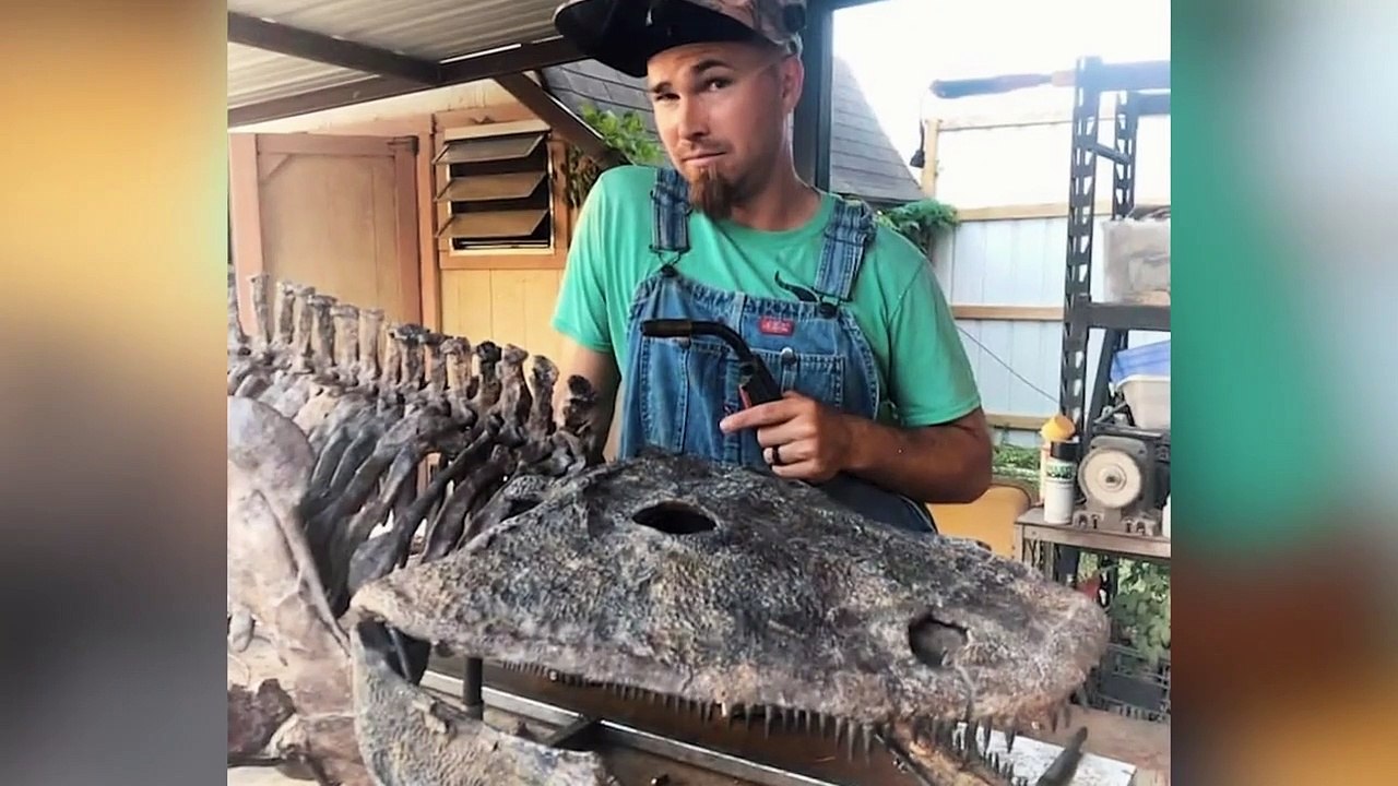 Dino Hunters - Se2 - Ep03 HD Watch HD Deutsch