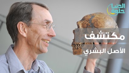 مكتشف الأصل البشري