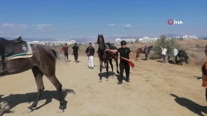 Rahvan atları birincilik için yarıştı