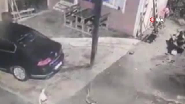 Tilkinin biri kaz çaldı diğeri gözcülük yaptı... O anlar kamerada