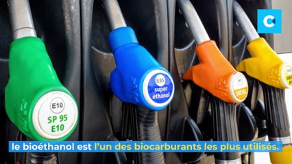 Voiture bioéthanol : laquelle choisir en 2022 ?
