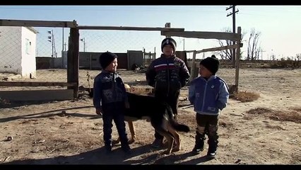 I sogni del lago salato