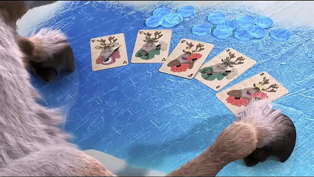 Il viaggio di Norm