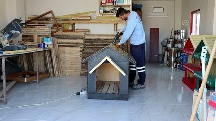 Eski bozuk para kasaları hayvanlar için yuvaya dönüştürülüyor