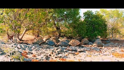 Aldabra: c'era una volta un'isola