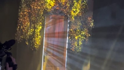 Bray Wyatt Returns + Front Row View & Live Crowd Reaction!