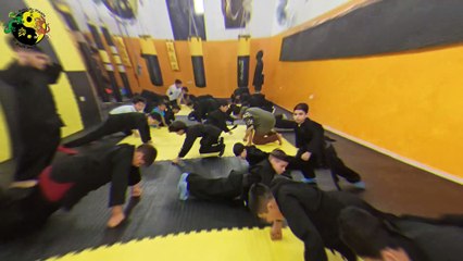 كونغ فو اشبال