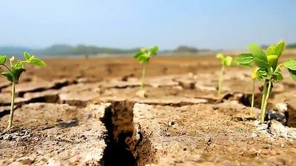 A vendre - Appartement - IGNY (91430) - 2 pièces - 47m²