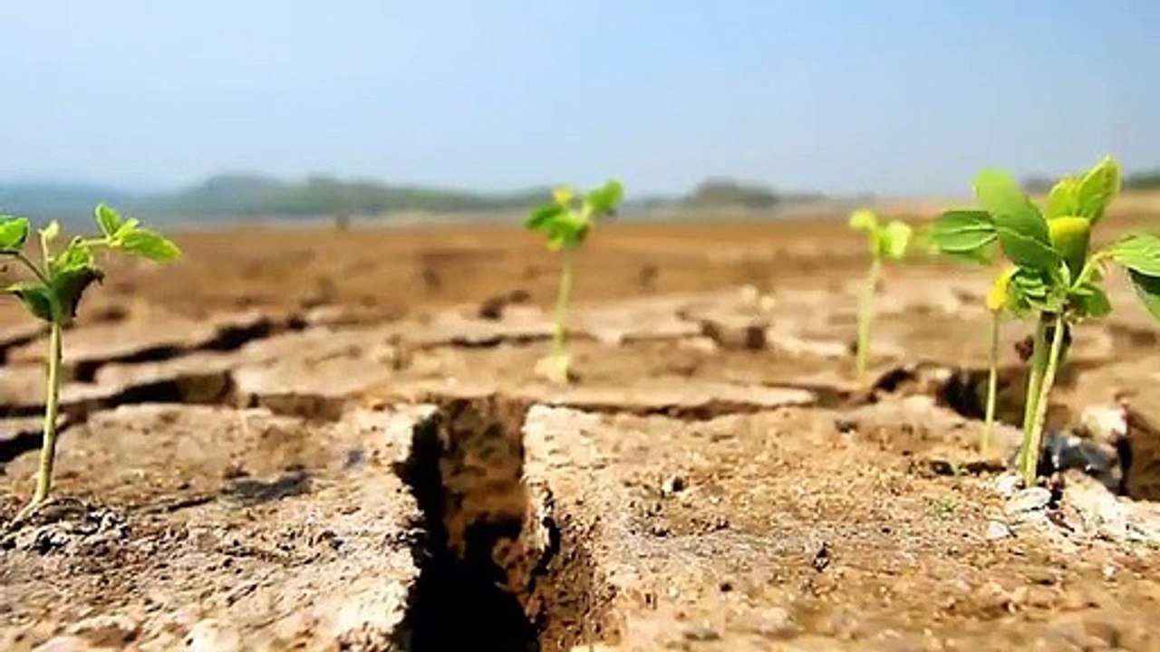 A vendre - Appartement - IGNY (91430) - 2 pièces - 47m²