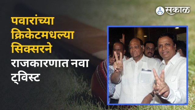 Ashish Shelar Meet Sharad Pawar : पवारांच्या खेळीमुळे कट्टर विरोधकांची झाली युती