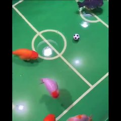 Fishes playing football ⚽