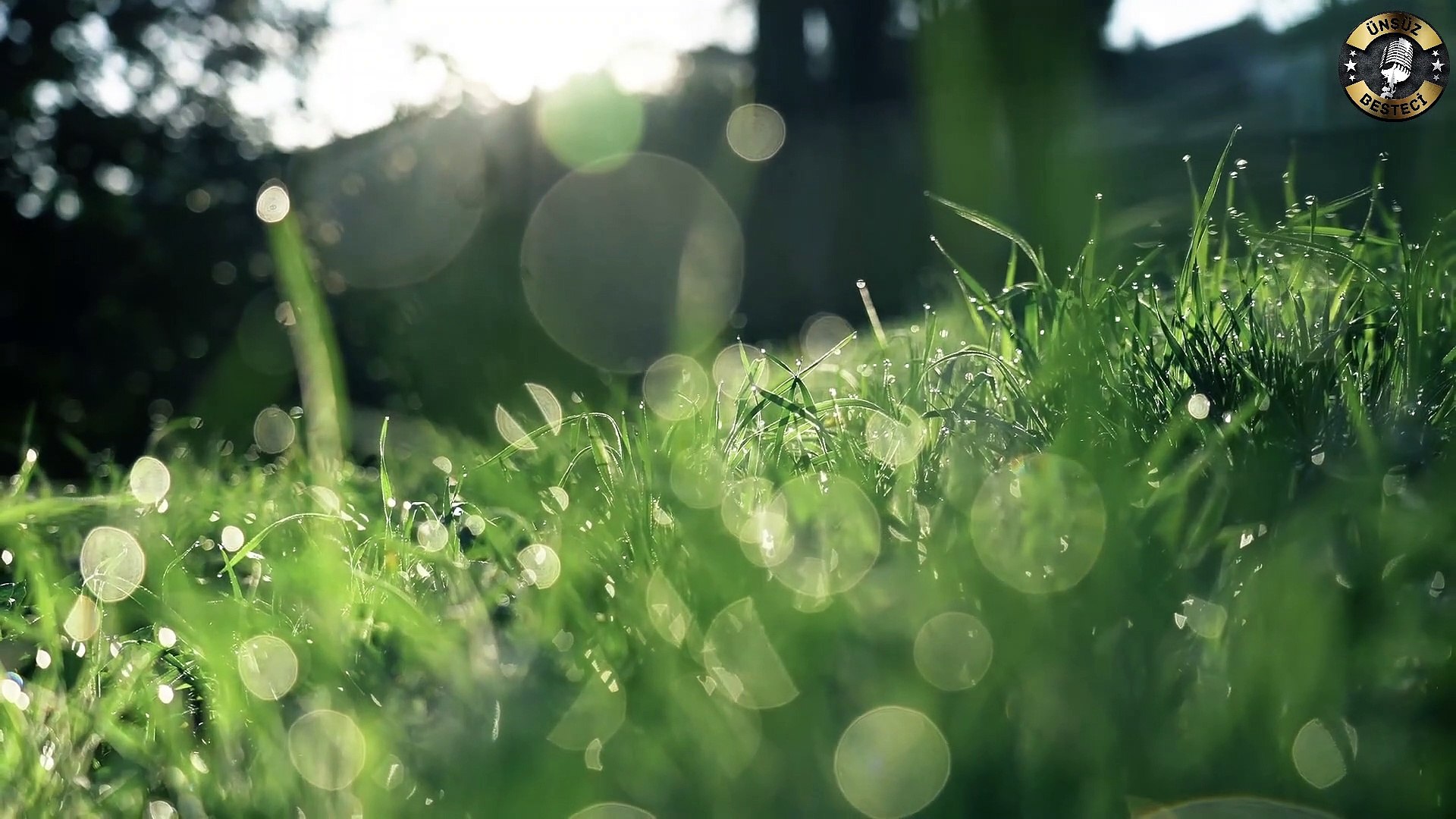 Relaxing Music, Sleep Music, Energy Relaxation Music