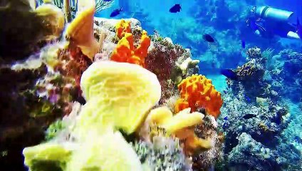 Ocean colorful 4K Ultra HD, meditation music, # relaxing yoga calm music, spa, study sleep music