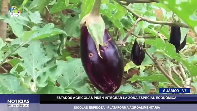 #EnVivo | Noticias al mediodía - Lunes 10 de Octubre - Venezuela - VPItv