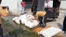 खाद्य सुरक्षा टीम की बड़ी कार्रवाई, 400 किलो मिर्च पाउडर नष्ट