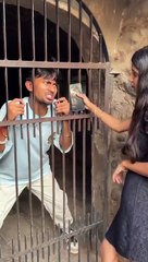 Facebook 731248354780753(540p)