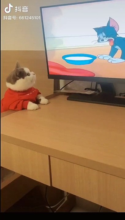 Funny Video | comedy video | short video | new funny status video | whatsapp status video | latest video | funny scene | comedy scene | full funny | full comedy | lol video | enjoy video #funny #comedy | viral video | trending video